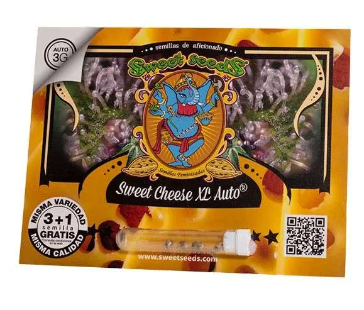SWEET SEEDS SWEET CHEESE XL AUTO 3+1 UN1
