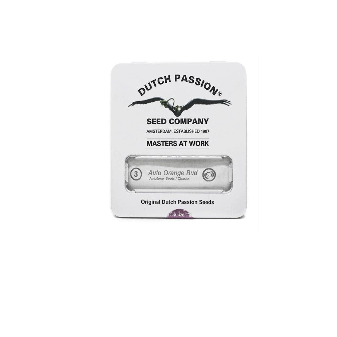 DUTCH PASSION AUTO ORANGE BUD1