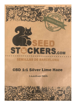 SEED STOCKERS AUTO CBD SILVER LIME HAZE1