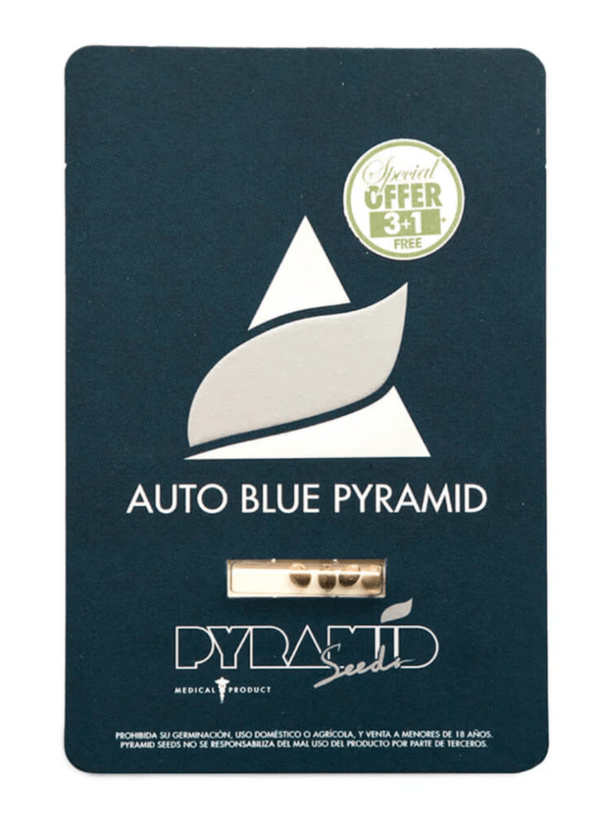 PYRAMID SEEDS AUTO BLUE PYRAMID 3 UN1