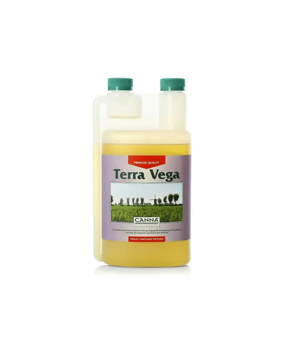 CANNA TERRA VEGA1
