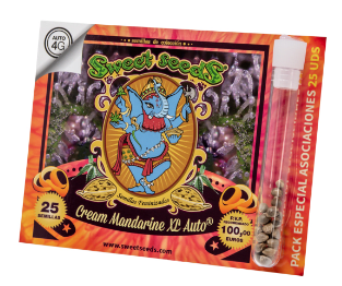 SWEET SEEDS AUTO CREAM MANDARINE XL 25 UN1