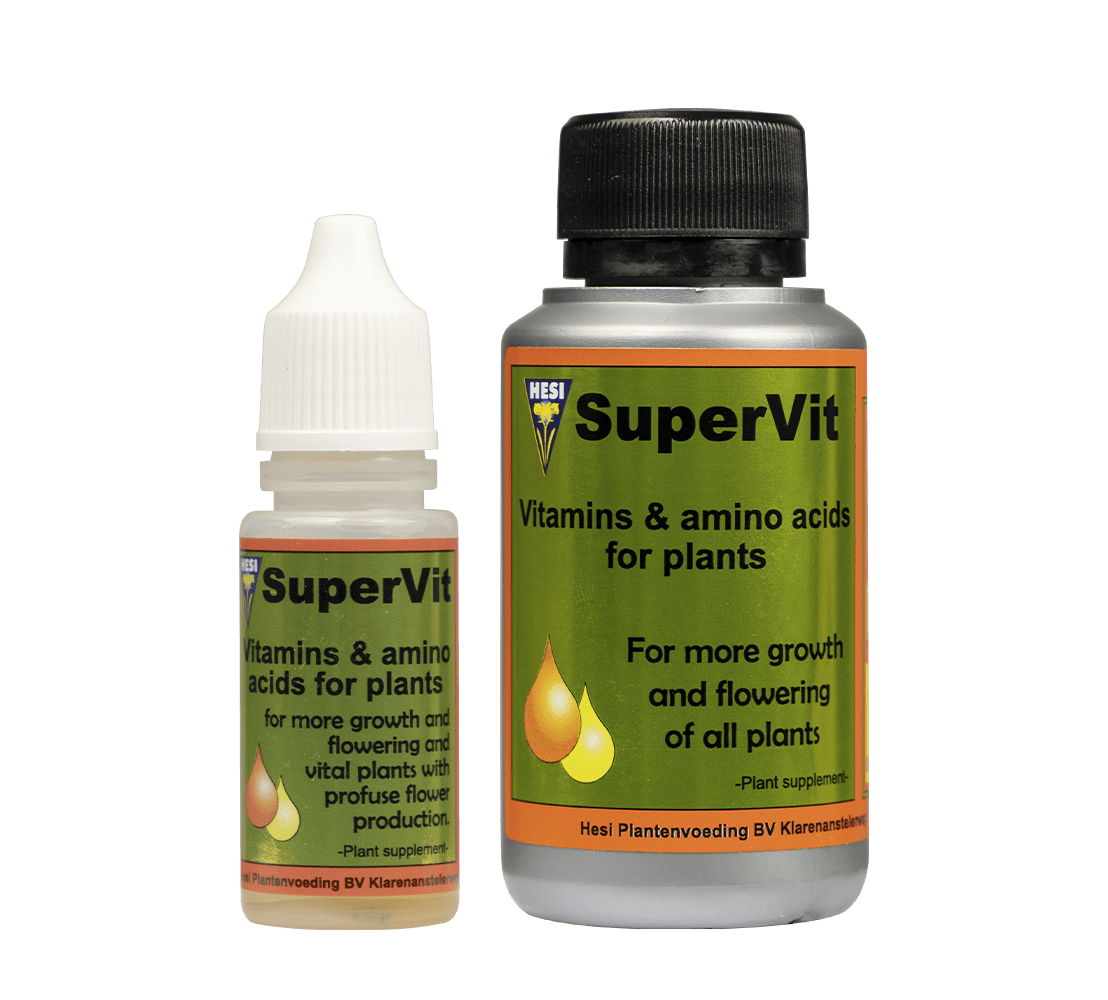 HESI SUPER VIT1