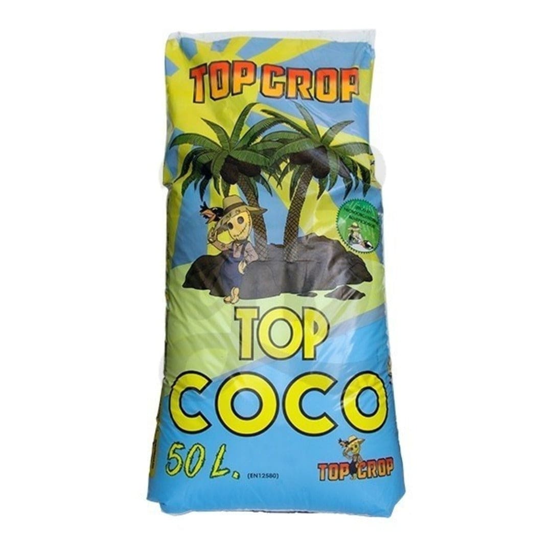 TOP CROP TOP COCO 50 L1