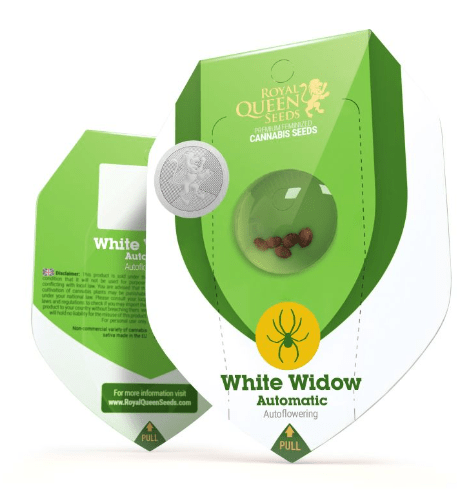 ROYAL QUEEN SEEDS WHITE WIDOW AUTO 3UDS1