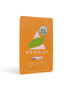 PYRAMID SEEDS WEMBLEY 3UDS1