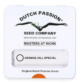 DUTCH PASSION FEM ORANGE HILL SPECIAL1