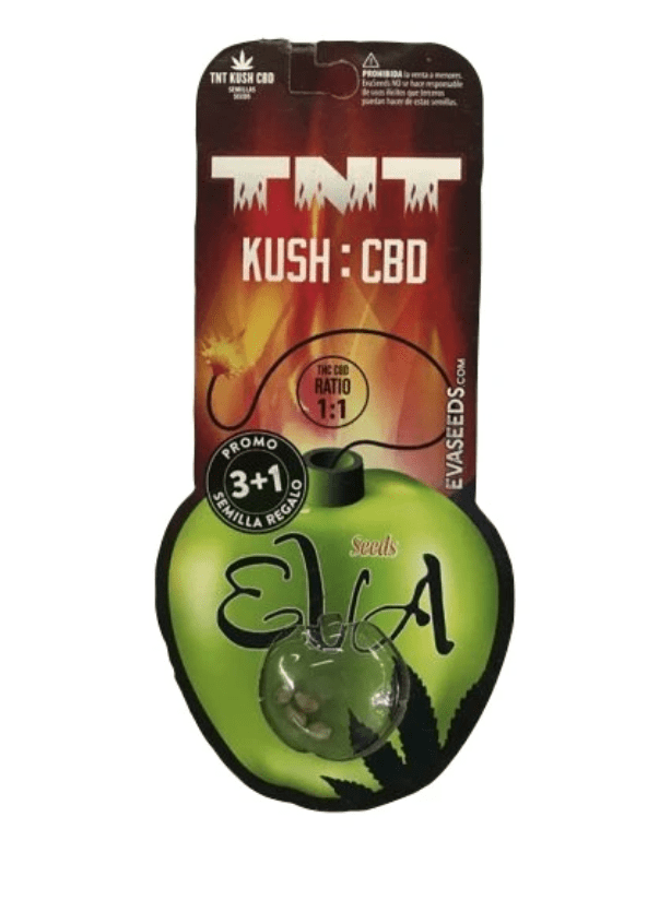 EVA SEEDS TNT KUSH CBD FEM 3 +11