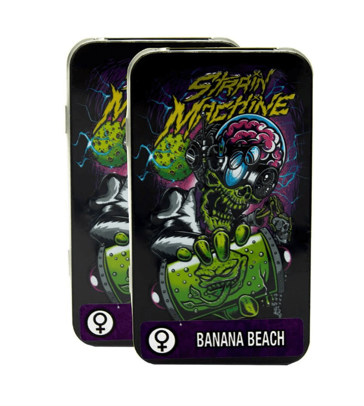 STM AUTO BANANA BEACH 3 UNID1