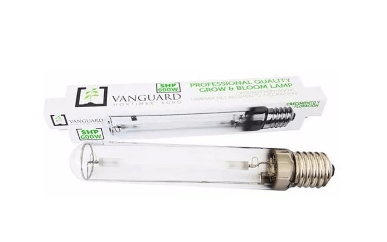 AMPOLLETA SHP 600 VANGUARD1