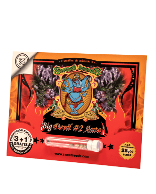 SWEET SEEDS AUTO BIG DEVIL 21