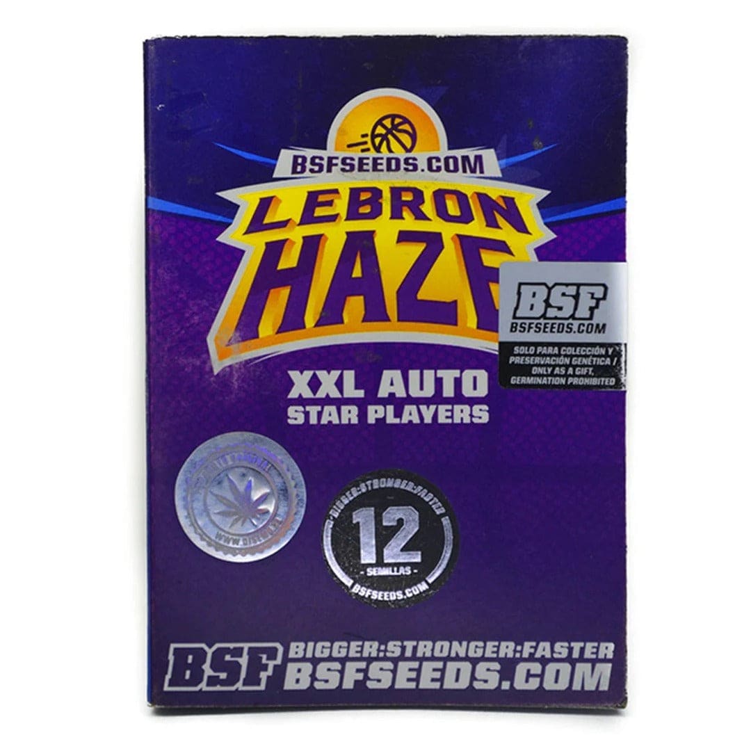 BSF LEBRON HAZE XXL 12 UNI AUTO1