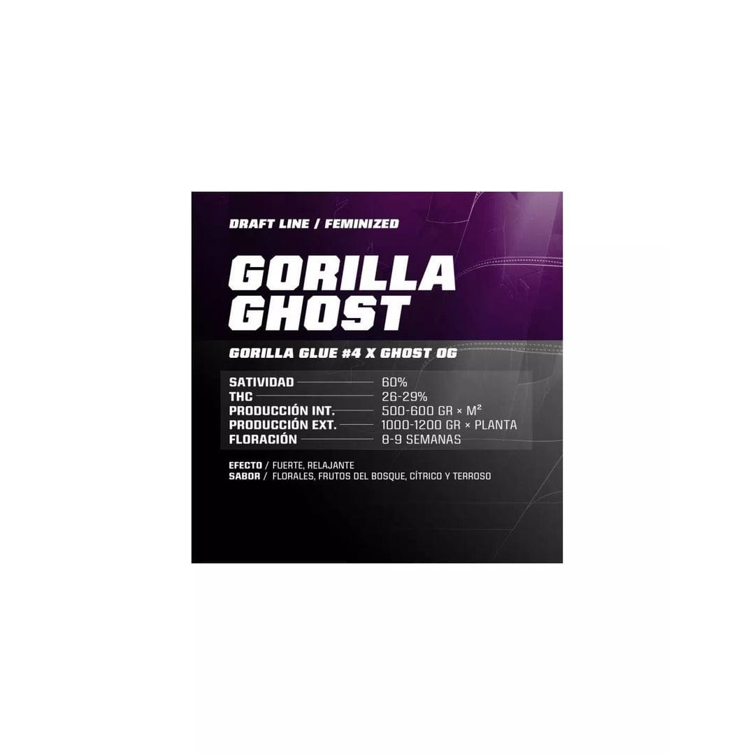 Bsf seeds Gorilla Ghost X2 20211