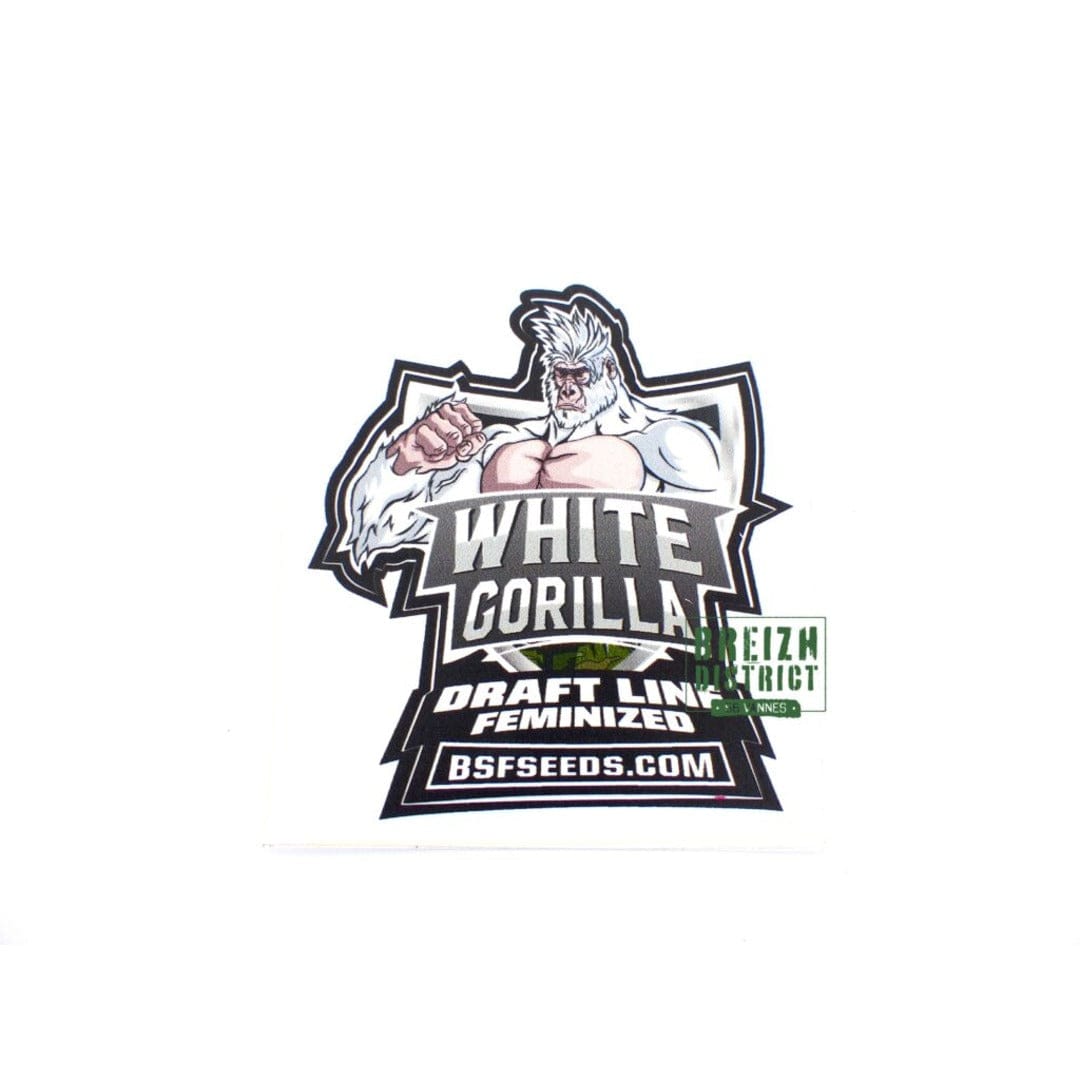 Bfs seeds White Gorilla X41