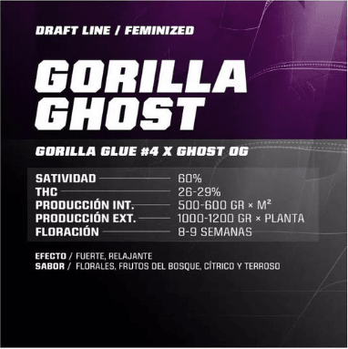 Bsf seeds Gorilla Ghost X4 20211