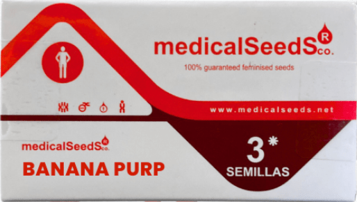MEDICAL SEEDS BANANA PURP1