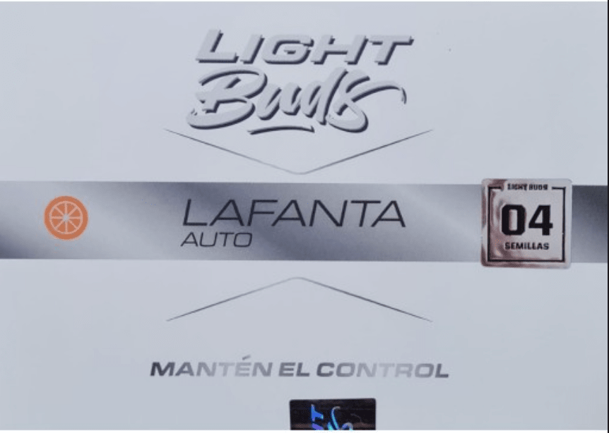 LIGHT BUD - LAFANTA FEM CBD X 41