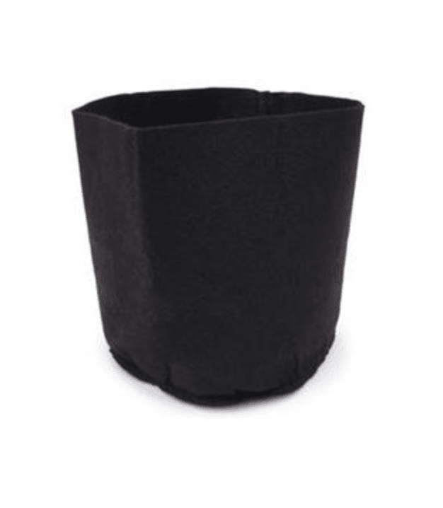 MACETA DE GENERO 11.4 LT1