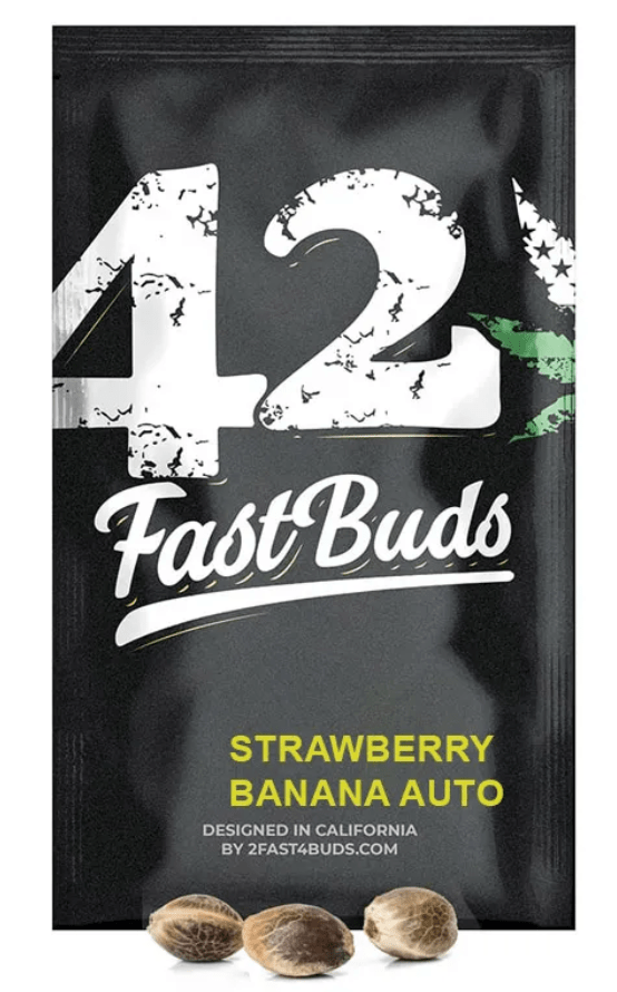 FAST BUDS STRAWBERRY BANANA AUTO 3 UN1