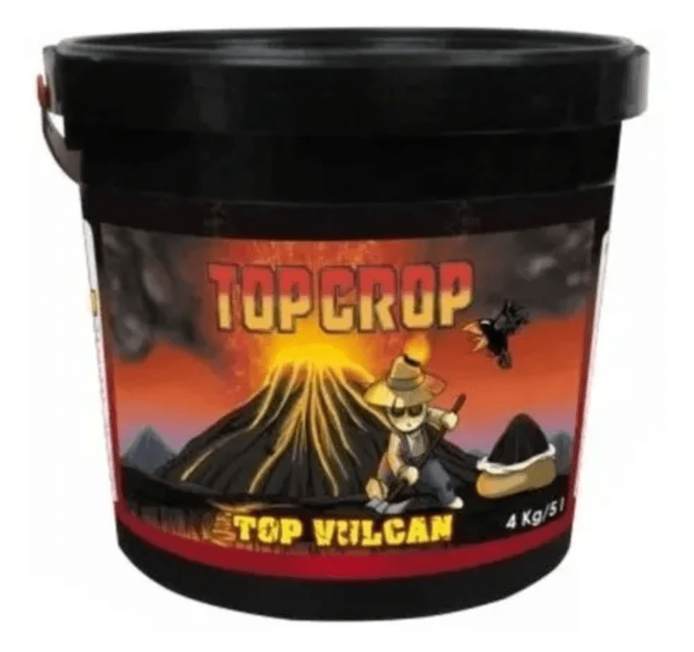 TOP CROP TOP VULCAN 4 KG1