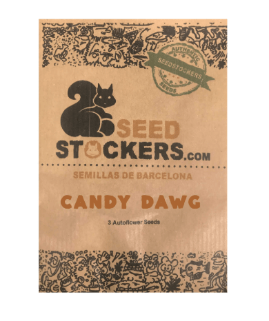 SEED STOCKERS AUTO CANDY DAWG 3 UN1