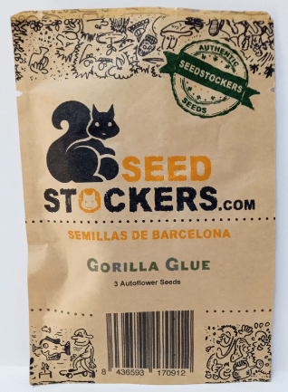SEEDS STOCKERS GORILLA GLUE AUTO 3 UNI1