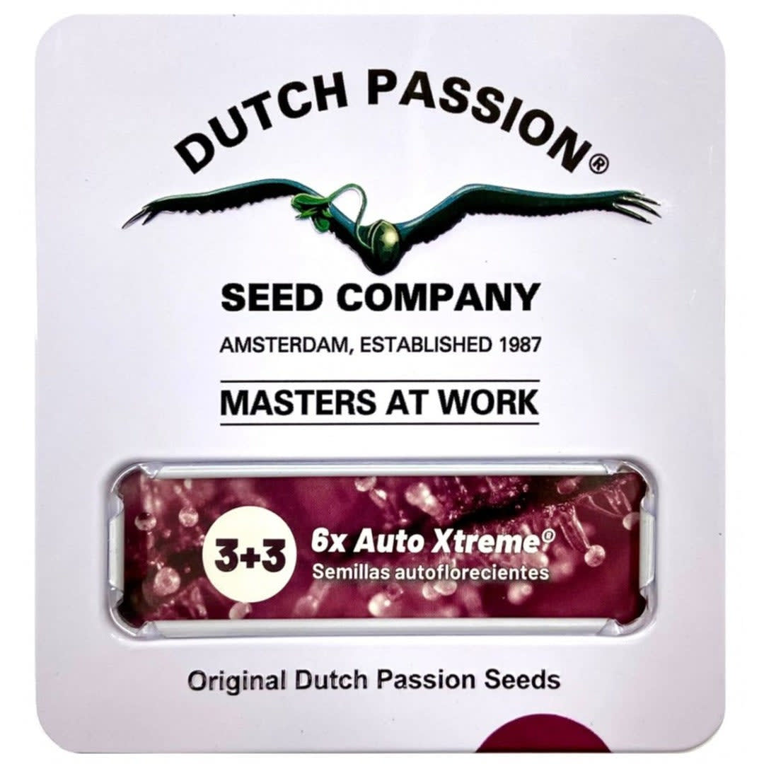 DUTCH PASSION AUTO AUTO XTREME1