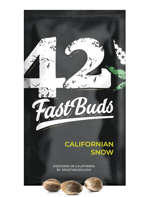 FAST BUDS AUTO CALIFORNIAN SNOW1