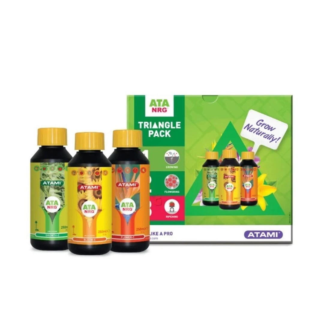 ATAMI TRIANGLE PACK1