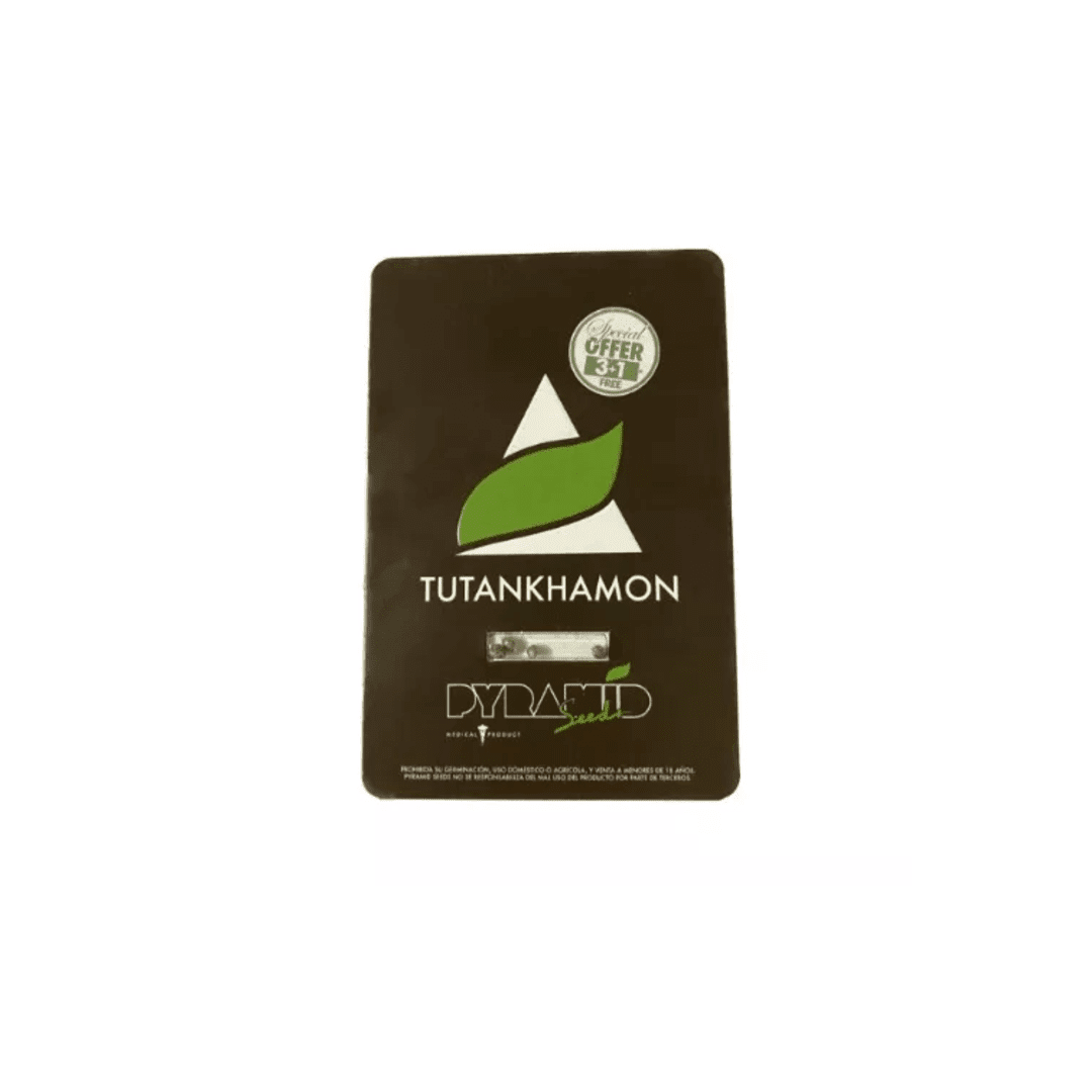 PYRAMID SEEDS FEM TUTTANKHAMON1