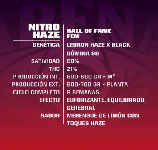 BSF SEEDS - NITRO HAZE FEM 4 UNID1