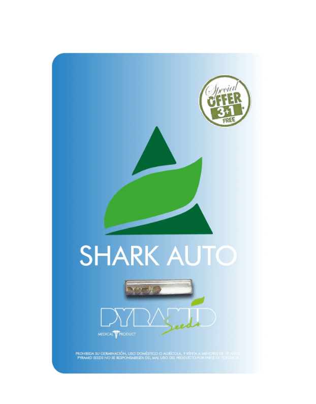 PYRAMID SEEDS AUTO SHARK 3+1 UNID1