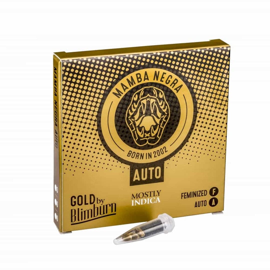 BLIMBURN COLECCION - AUTO MAMBA NEGRA 3 UNID1