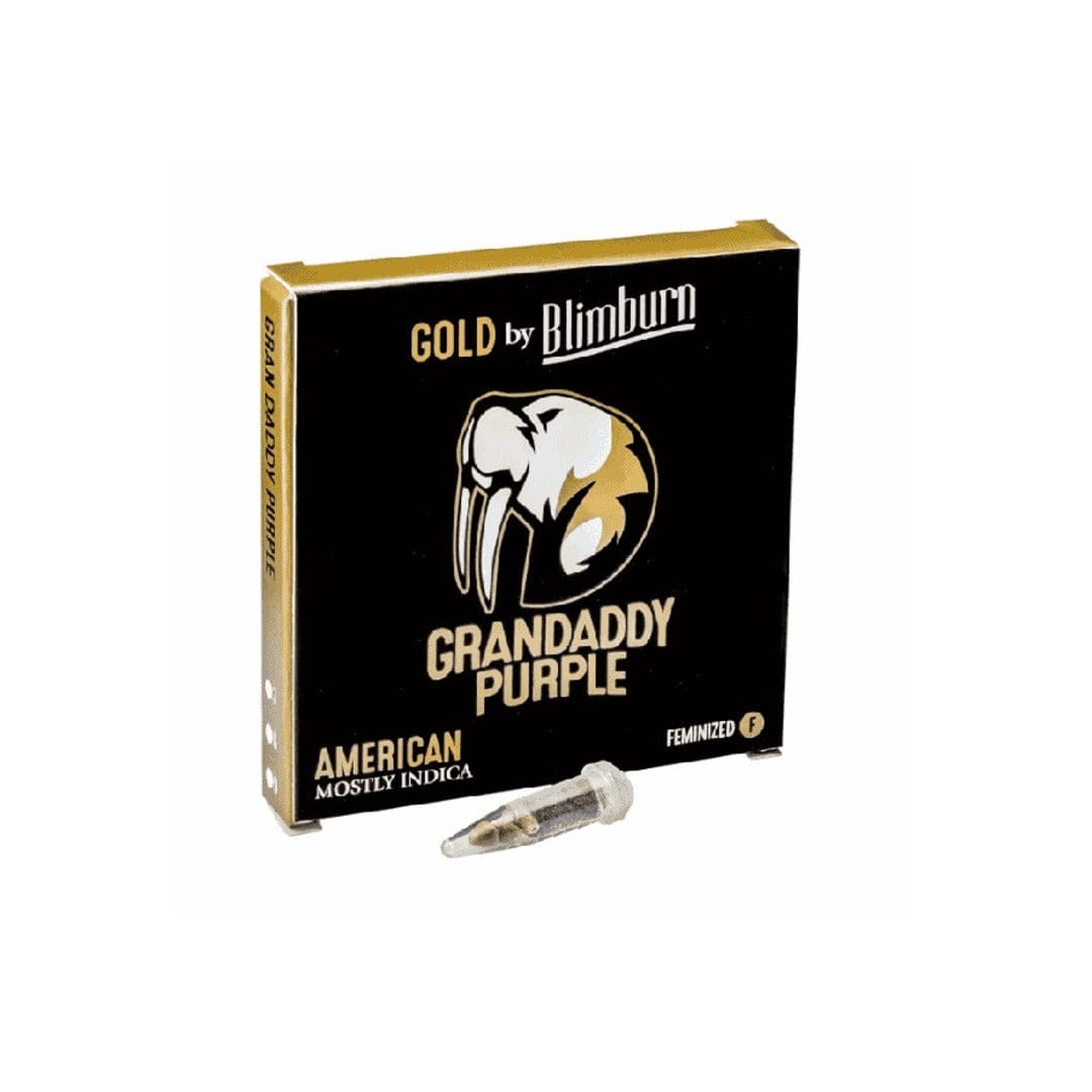 BLIMBURN COLECCION - FEM GRANDADDY PURPLE 3 UNID1