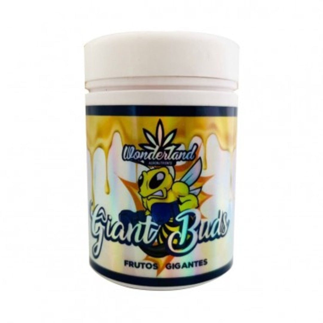 WONDERLAND GIANT BUDS 52-341