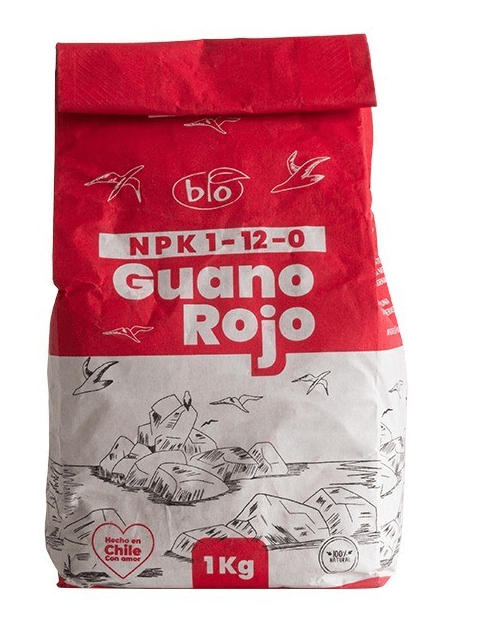 GUANO ROJO1