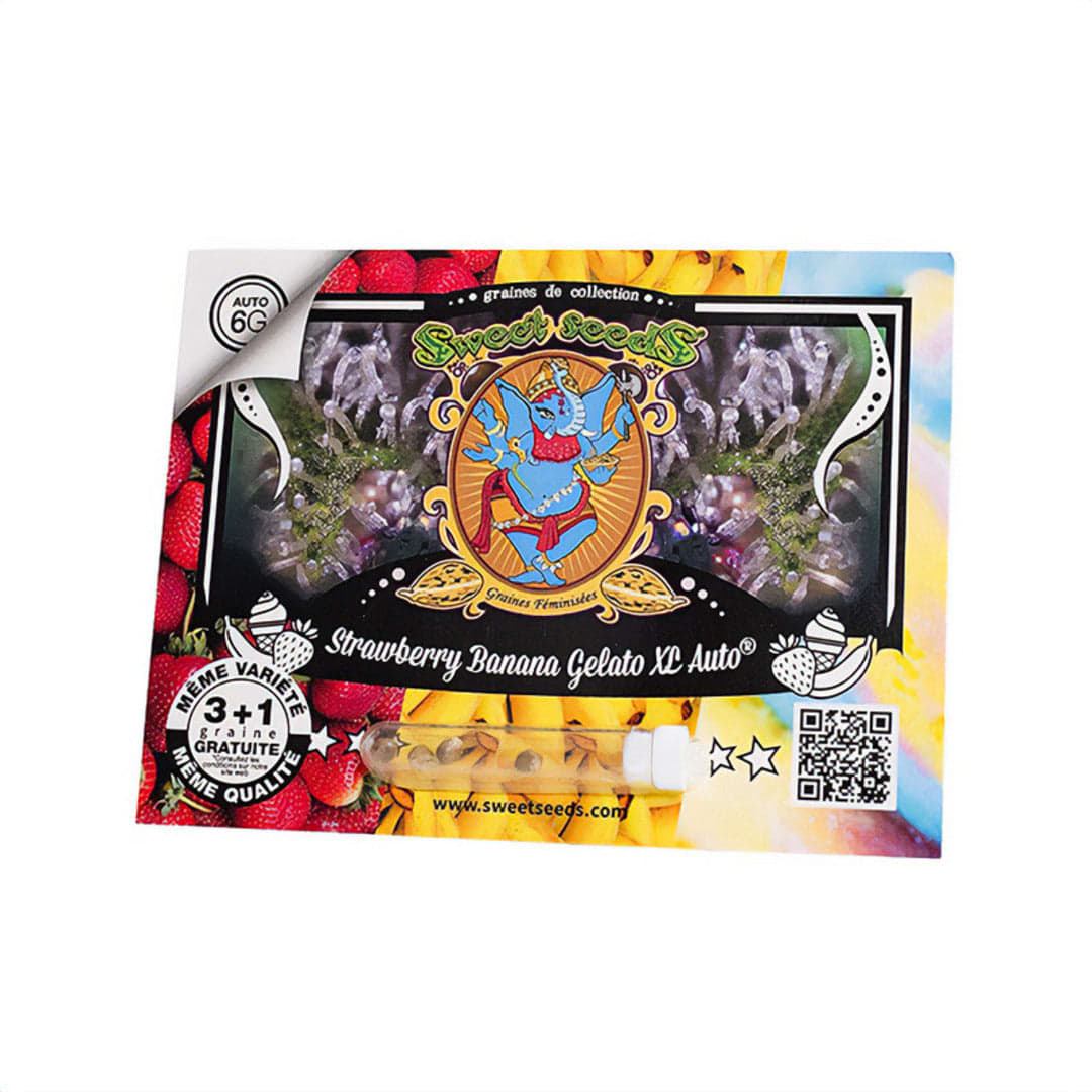 SWEET SEEDS STRAWBERRY BANANA GELATO XL AUTO 3+1UNI1