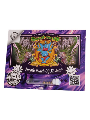 SWEET SEEDS PURPLE PUNCH OG XL AUTO X3+11