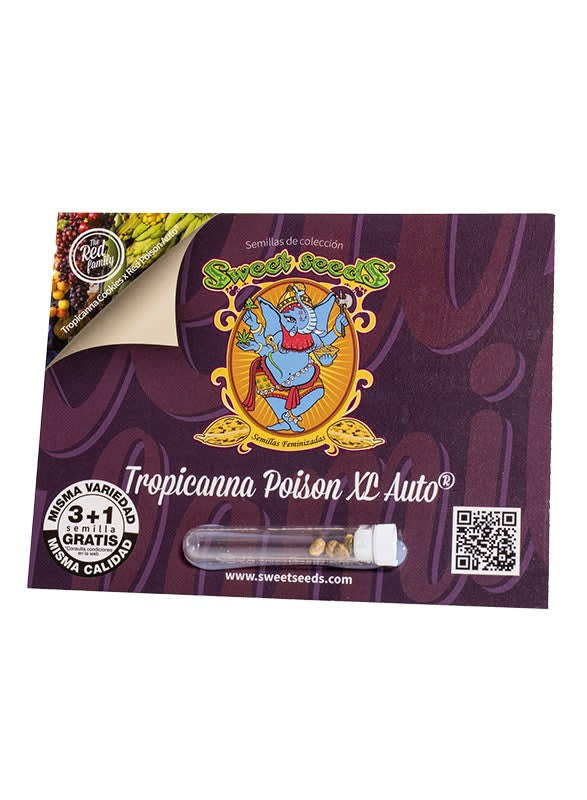SWEET SEEDS AUTO TROPICANNA POISON1