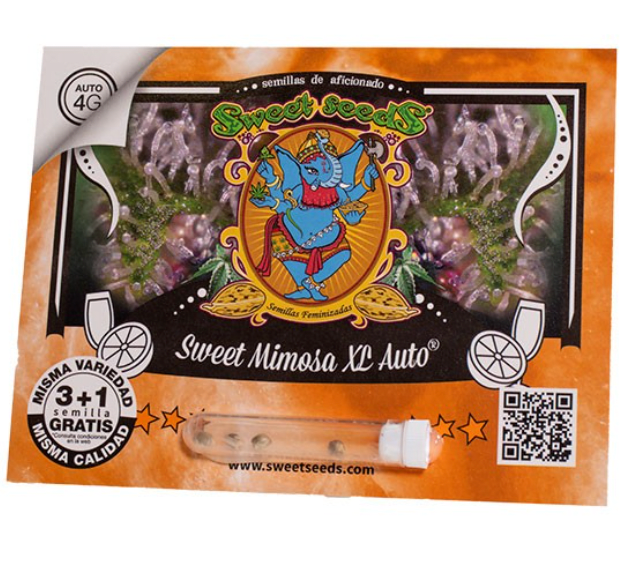 SWEET SEEDS SWEET MIMOSA XL AUTO X3+11
