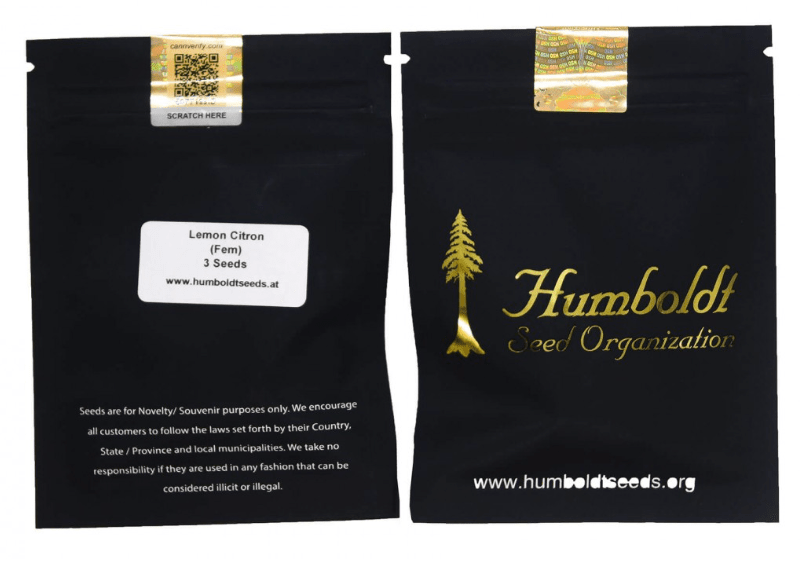 HUMBOLDT SEEDS LEMON CITRON X31