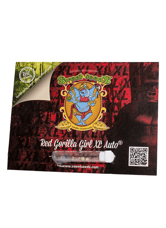 SWEET SEEDS AUTO GORILLA GIRL XL 100 UN1