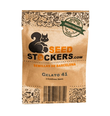 SEED STOCKERS AUTO GELATO 411