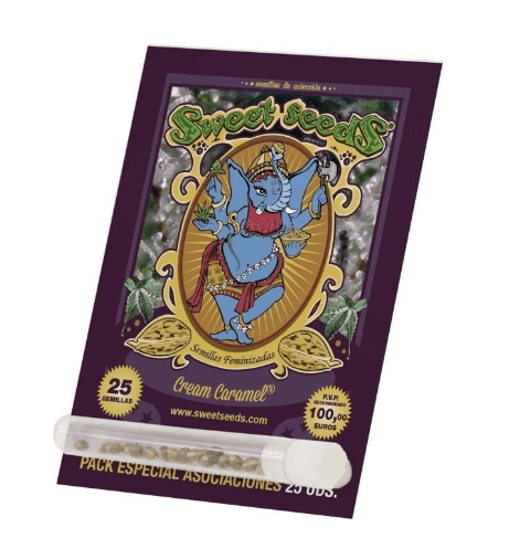Sweet Seeds Cream Caramel fast version fem 25 unid1
