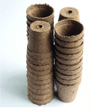 maceta biodegradable jiffy 260 cc1