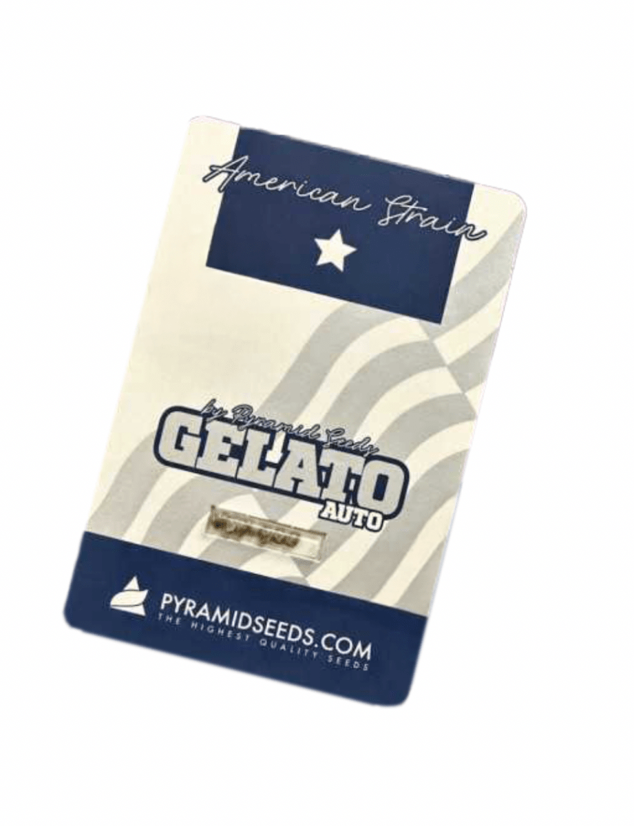 PYRAMID SEEDS AUTO GELATO 3+11