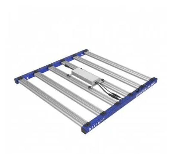 QUANTUM LITE 600W-DELIGHT1