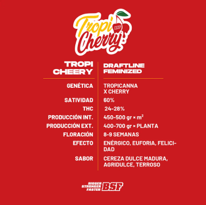 BSF Tropi Cherry X121