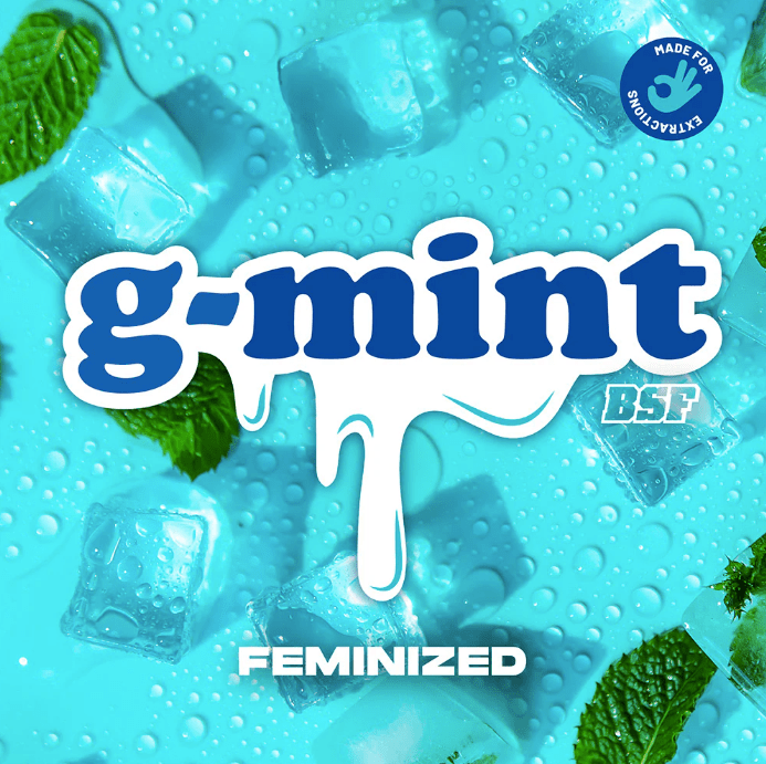 BSF G-Mint X121