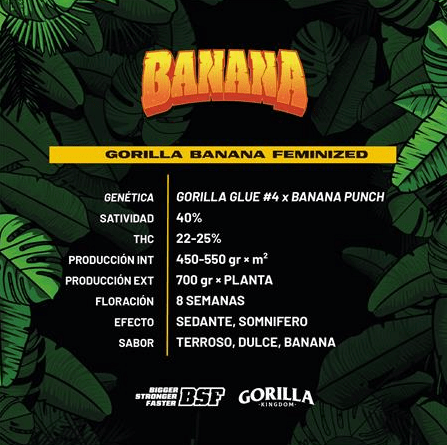 BSF Gorilla Banana GK - X121